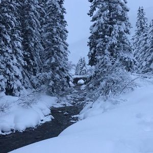 Meet your Posher, Lucy